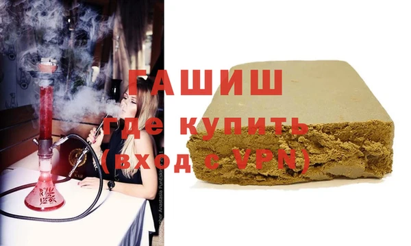 индика Алзамай