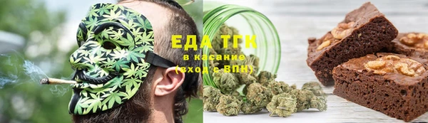 индика Алзамай
