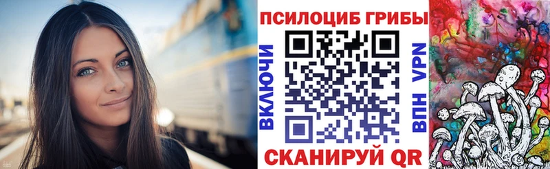 Псилоцибиновые грибы MAGIC MUSHROOMS  кракен вход  Гаджиево 